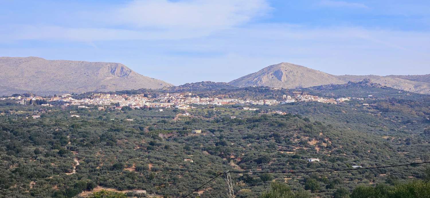 Casa in affitto a Periana